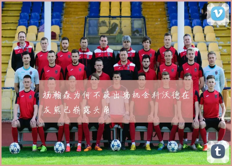 杨瀚森为何不获出场机会科沃德在灰熊已崭露头角