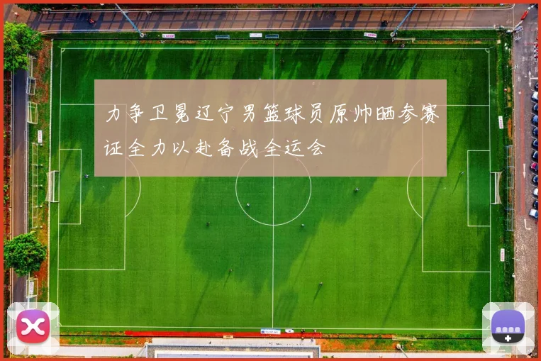 力争卫冕辽宁男篮球员原帅晒参赛证全力以赴备战全运会