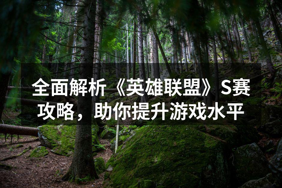 全面解析《英雄联盟》S赛攻略，助你提升游戏水平